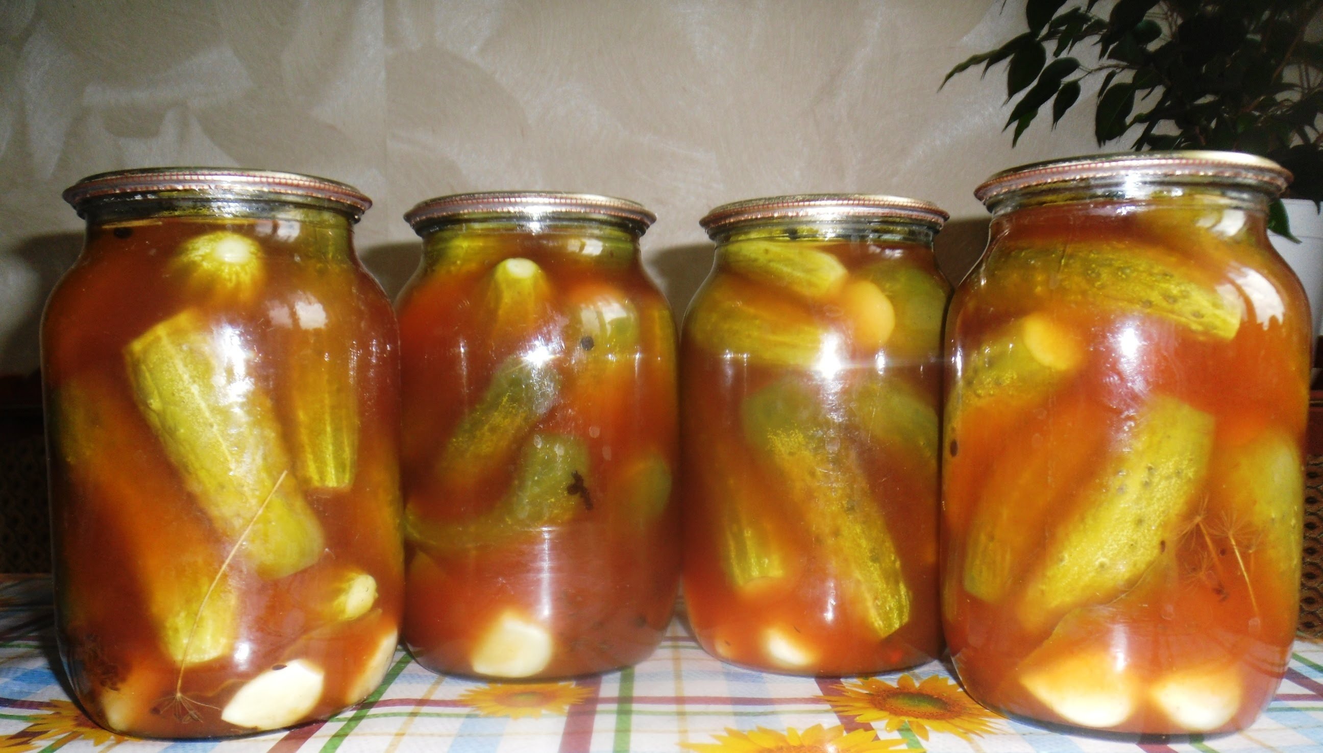 Castraveti murati in marinada cu suc de tomate